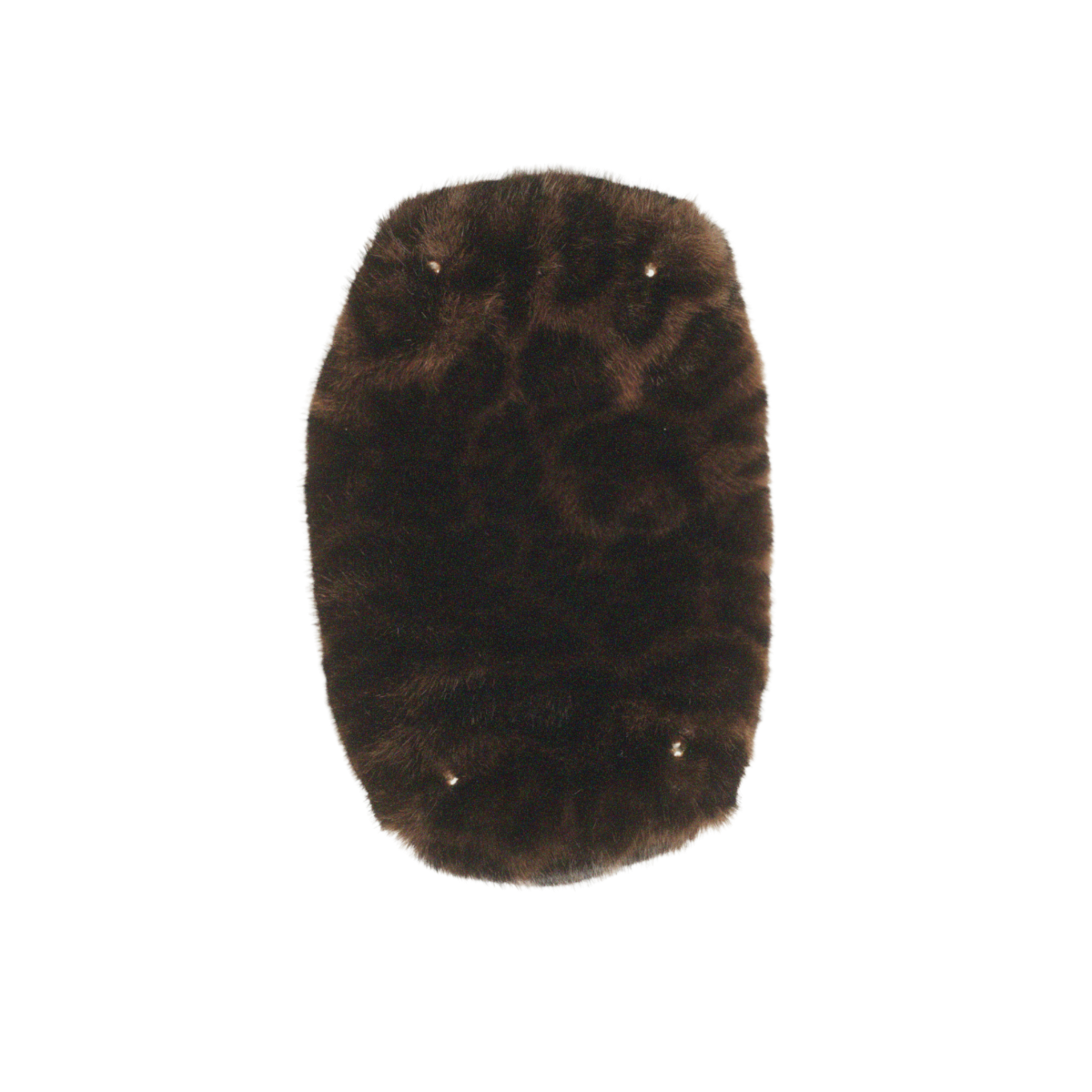 Panthera 1816